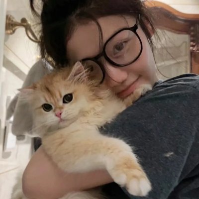中华熊猫