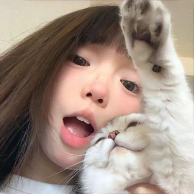 模范警察