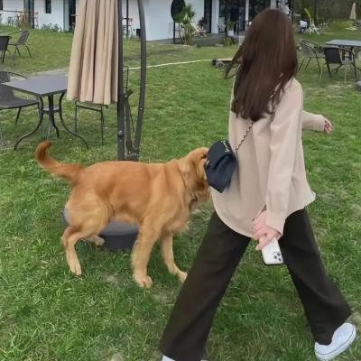 长颈鹿扎拉法